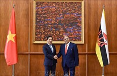 Efectúan reunión del Comité Mixto de Cooperación Bilateral Vietnam-Brunei