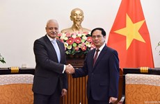 Promueven Vietnam cooperación multifacética con Egipto
