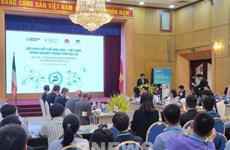 Conferencia conecta empresas agrícolas de Vietnam e Irlanda