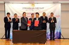 Estimulan inversiones de empresas japonesas en provincia de Long An