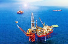 Compañía petrolera vietnamita asume papel pionero en cooperación internacional de petróleo y gas