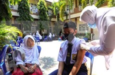 Indonesia considera uso de vacuna antiCOVID-19 de producción nacional Indovac