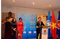Vietnam se compromete a continuar su contribución activa a la ONU