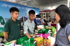Lanzan en Hanoi Semana de Productos nacionales