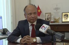 Agencias representativas vietnamitas en Francia contribuyen a la diplomacia económica
