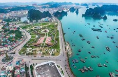 Provincia vietnamita de Quang Ninh desarrolla acuicultura en el mar asociada con ecoturismo 