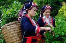 Promueven empoderamiento económico de mujeres de minorías étnicas en Vietnam