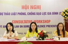 Recopilan opiniones sobre proyecto de Ley contra la violencia doméstica modificado