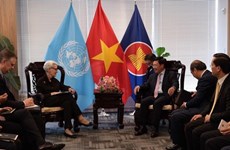 Viceprimer ministro de Vietnam sostiene encuentros bilaterales en Nueva York 