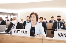 Periódico estadounidense apoya a Vietnam unirse al Consejo de Derechos Humanos de ONU