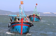Vietnam refuerza lucha contra pesca ilegal, no declarada y no reglamentada