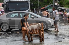  Tifón Noru deja saldo preliminar de cinco muertos en Filipinas