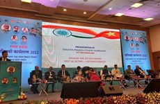 Vietnam busca impulsar la cooperación pesquera con India
