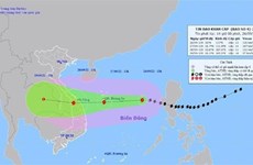 Tifón Noru tocará tierra firme de Vietnam en la tarde del 27 de septiembre