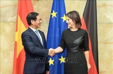 Canciller de Vietnam realiza visita oficial a Alemania