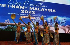 Divulgan cultura y turismo vietnamita en Malasia