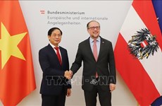 Austria tiene gran interés en fortalecer lazos económicos con Vietnam