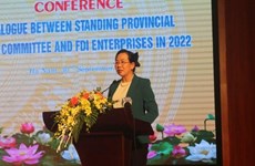 Ha Nam se compromete a apoyar a empresas extranjeras