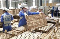 Vietnam registra superávit comercial en productos agroforestales y acuáticos