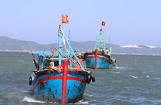 Provincia vietnamita trabaja fuertemente en lucha contra pesca ilegal