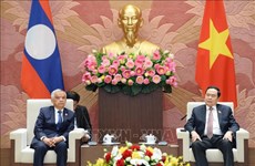 Fortalecen aún más la amistad tradicional entre Vietnam y Laos