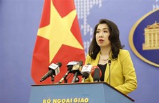 Cancillería vietnamita da su postura sobre incidentes vinculados con vuelos de repatriación