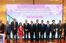 Vietnam asiste a la reunión de Comisión de CPTPP en Singapur