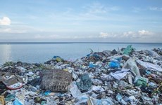 Vietnam fortalece cooperación internacional para reducir desechos marinos
