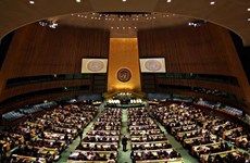 Vietnam elegido al Consejo de Derechos Humanos de la ONU