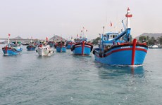 Provincia vietnamita invierte en infraestructura de puerto pesquero  