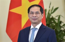 Vietnam se unirá a comunidad internacional para construir un mundo de paz