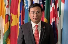 Elección al Consejo de DD.HH. afirma esfuerzos de Vietnam en promoción de derechos humanos