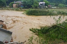 Vietnam intensifica gestión del riesgo de desastres naturales