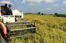 Vietnam y ASEAN prometen erradicar pobreza y garantizar seguridad alimentaria 