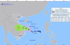 Vietnam sufre affectations del tifón SONCA