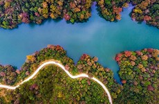 Poéticos paisajes de lagos en provincia vietnamita de Cao Bang