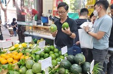 Inauguran una serie de puntos de venta de productos OCOP en Hanoi