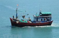 Localidades costeras de Vietnam ven mejores resultados en lucha contra pesca ilegal