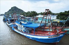 Kien Giang trabajará con equipo de inspección de la CE en lucha contra la pesca ilegal