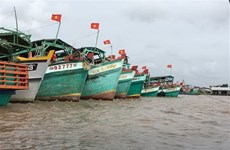 Localidad vietnamita adopta diversas medidas para lucha contra la IUU