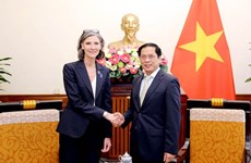 Canciller vietnamita se reúne con representante del PNUD en Vietnam