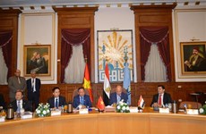 Hanoi y El Cairo buscan fortalecer cooperación integral