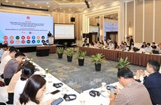 Vietnam elabora informe de revisión de los Objetivos de Desarrollo Sostenible 2023