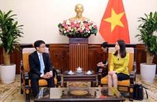  Vietnam y Japón por fortalecer relaciones bilaterales