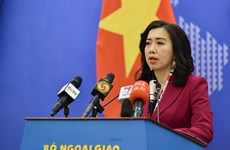 Situación de trabajadores vietnamitas en África ve ciertas mejoras, dice portavoz