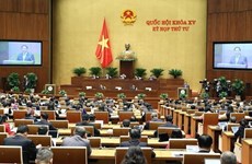Presentan opiniones y recomendaciones de votantes enviadas al Parlamento de Vietnam