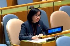 Resaltan logros de Vietnam en garantía de derechos humanos y laborales