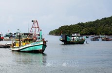 Vietnam refuerza lucha contra la pesca ilegal
