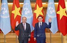 Presidente del Parlamento elogia apoyo efectivo de órganos de ONU a Vietnam
