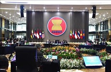 Vietnam destaca la importancia de mantener la integridad de la ASEAN